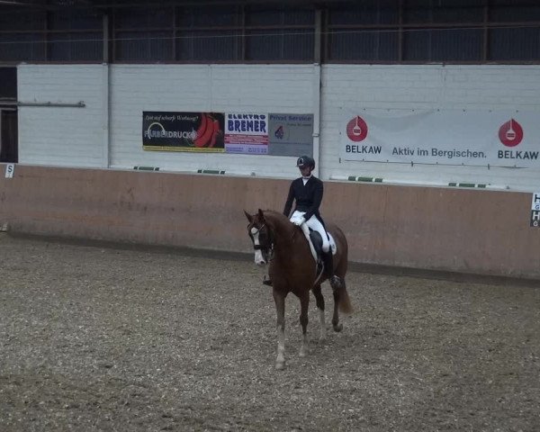 Reitturnier Leichlingen 2020