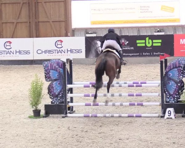 Reitturnier Negernbötel 2020, 2. Nordic Jumping event 2020/2021