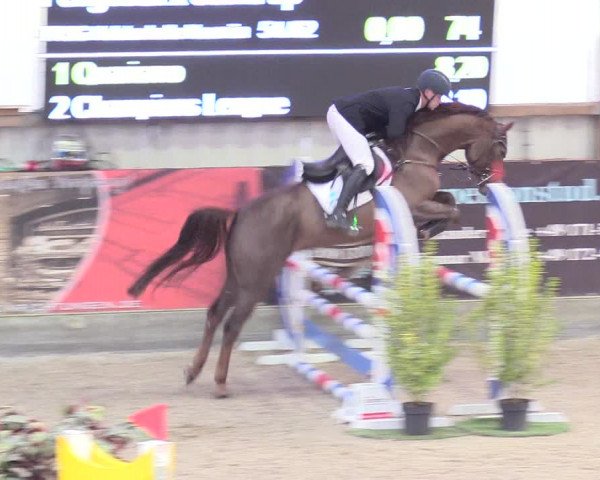 Reitturnier Negernbötel 2020, 2. Nordic Jumping event 2020/2021