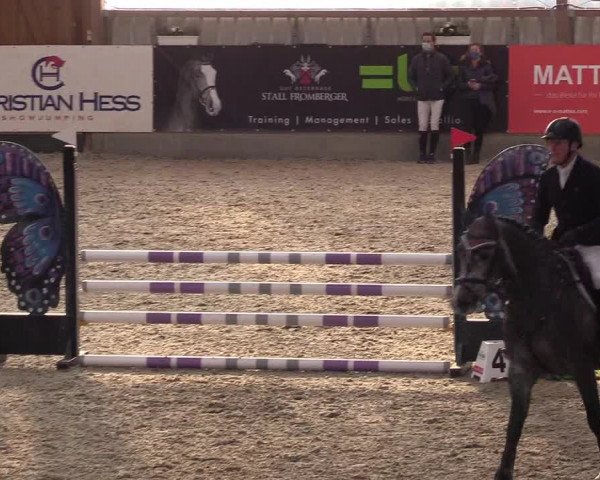 Reitturnier Negernbötel 2020, 2. Nordic Jumping event 2020/2021