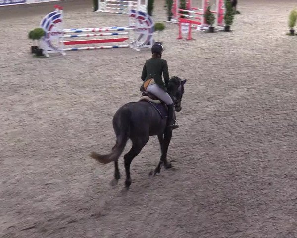 Reitturnier Negernbötel 2020, 2. Nordic Jumping event 2020/2021