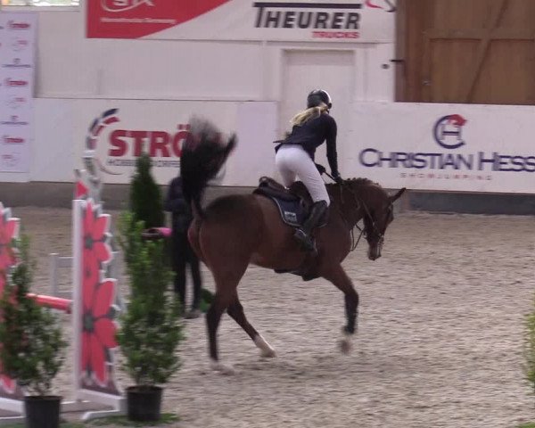 Reitturnier Negernbötel 2020, 2. Nordic Jumping event 2020/2021