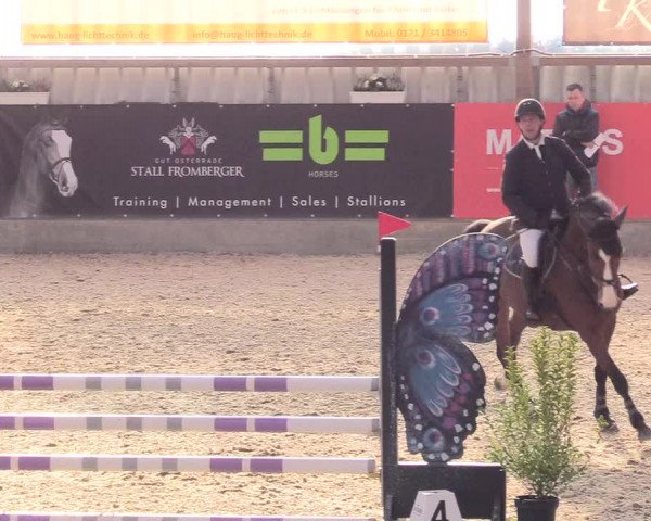 Reitturnier Negernbötel 2020, 2. Nordic Jumping event 2020/2021