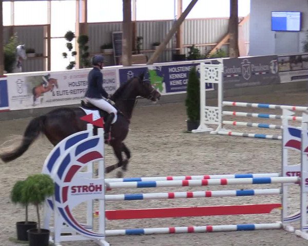 Reitturnier Negernbötel 2020, 2. Nordic Jumping event 2020/2021