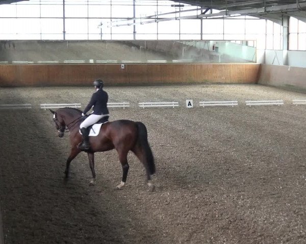 Reitturnier Leichlingen 2020