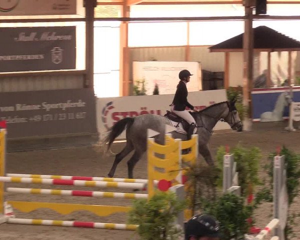 Reitturnier Negernbötel 2020, 2. Nordic Jumping event 2020/2021