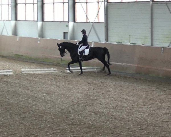 Reitturnier Leichlingen 2020