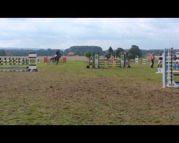 broodmare Carlotta 192 (Hanoverian, 2009, from Canstakko)