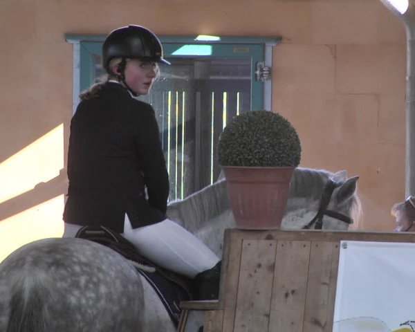 Reitturnier Gut Winkelacker/Obb. 2020