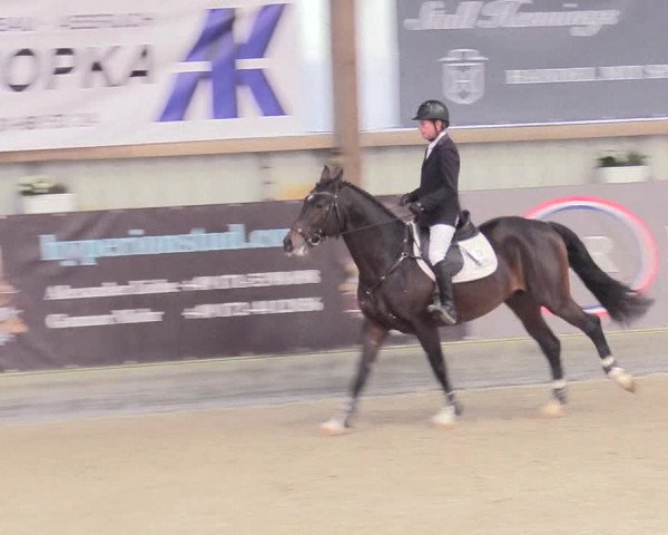 Reitturnier Negernbötel 2020, 2. Nordic Jumping event 2020/2021