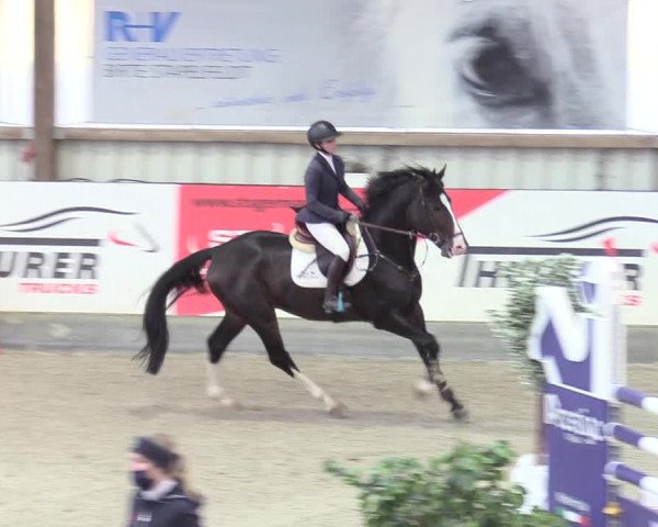 Reitturnier Negernbötel 2020, 2. Nordic Jumping event 2020/2021