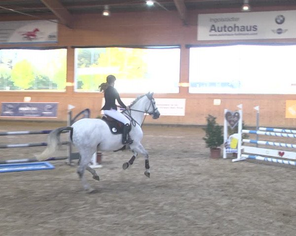 Reitturnier Gut Winkelacker/Obb. 2020