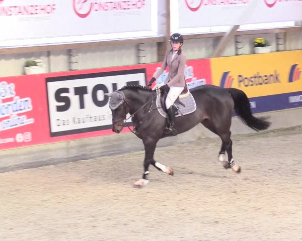 Reitturnier Negernbötel 2020, 2. Nordic Jumping event 2020/2021