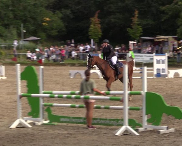 Reitturnier Lgl.-Oberhain, B95 2021