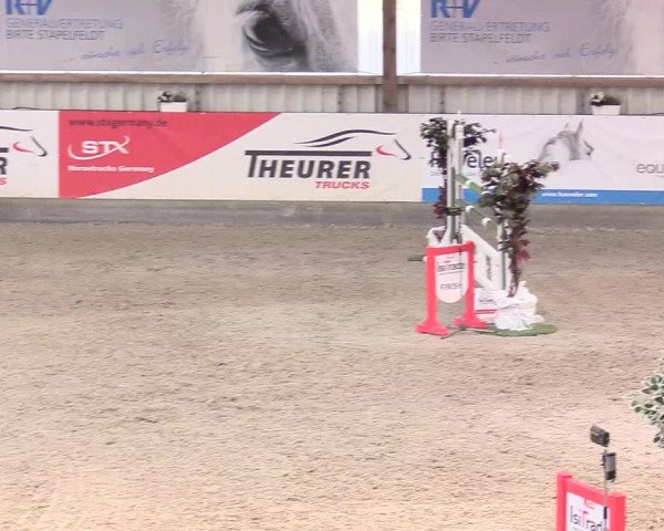 Reitturnier Negernbötel 2020, 2. Nordic Jumping event 2020/2021