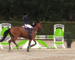 jumper Lightness T (Westphalian, 2008, from Lacordos)