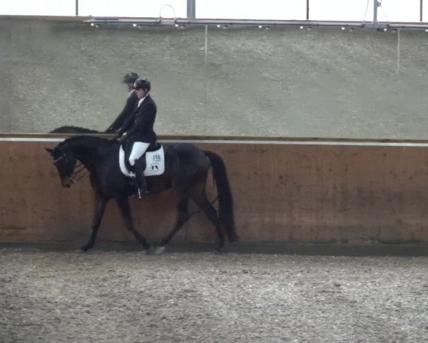 Reitturnier Leichlingen 2020