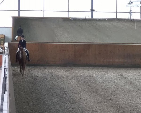Reitturnier Leichlingen 2020