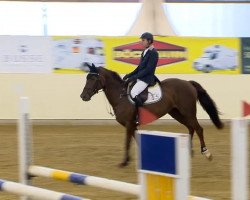 jumper Avec Moi (Westphalian, 2008, from Arpeggio)