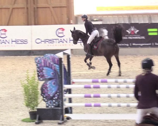 Reitturnier Negernbötel 2020, 2. Nordic Jumping event 2020/2021