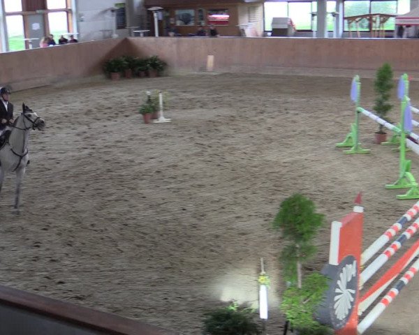 Reitturnier Prussendorf 2020