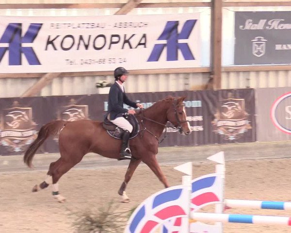Reitturnier Negernbötel 2020, 2. Nordic Jumping event 2020/2021