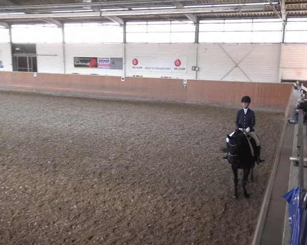 Reitturnier Leichlingen 2020