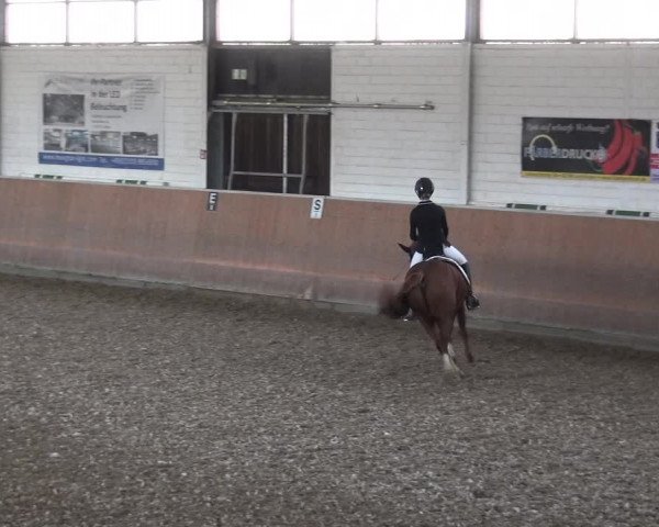 Reitturnier Leichlingen 2020