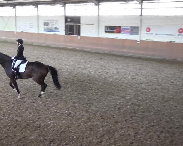Reitturnier Leichlingen 2020