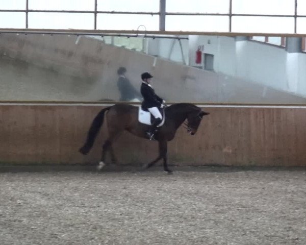 Reitturnier Leichlingen 2020