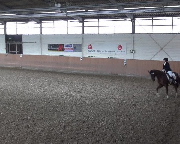 Reitturnier Leichlingen 2020