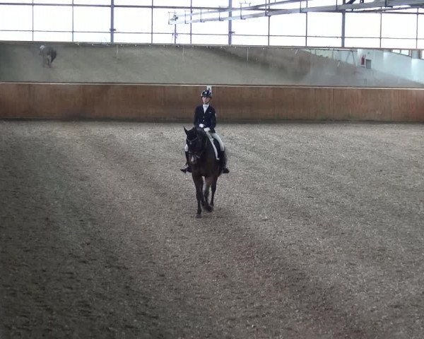 Reitturnier Leichlingen 2020
