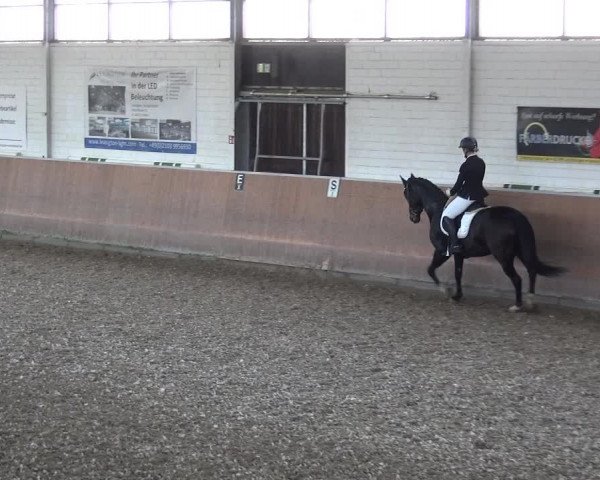 Reitturnier Leichlingen 2020