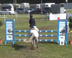 dressage horse Gracy (German Riding Pony, 2006, from Nacromancer inthe dark)