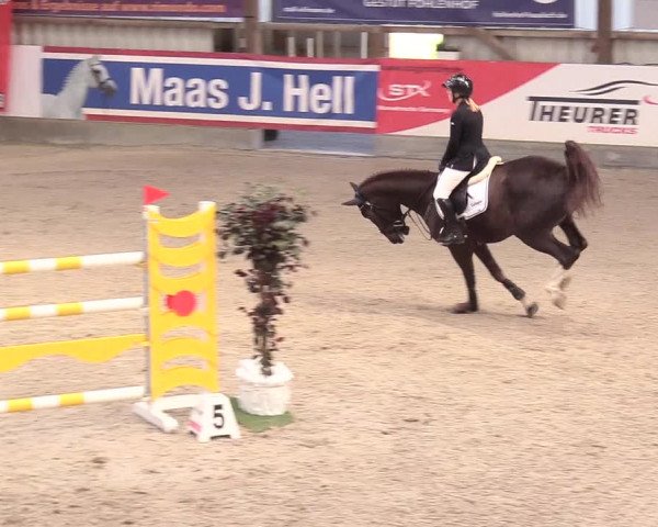 Reitturnier Negernbötel 2020, 2. Nordic Jumping event 2020/2021