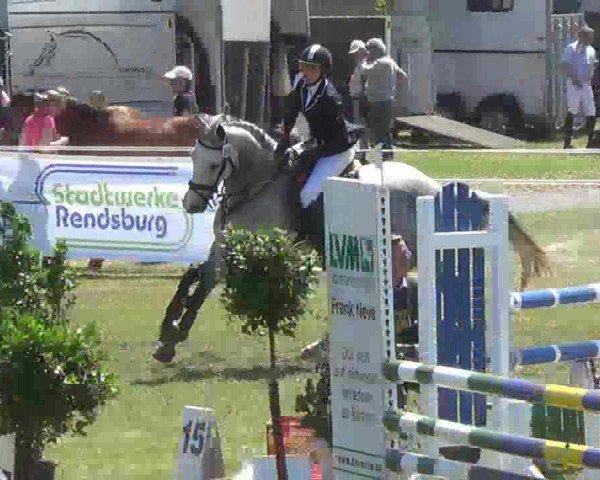 Zuchtstute Lavendel 146 (Deutsches Reitpferd, 2001, von Logan 104 FIN)