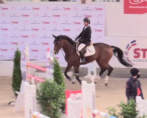 Reitturnier Negernbötel 2020, 2. Nordic Jumping event 2020/2021