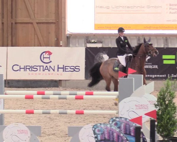 Reitturnier Negernbötel 2020, 2. Nordic Jumping event 2020/2021