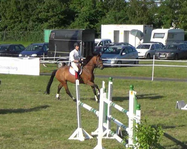 jumper Abercromby (Holsteiner, 2008, from Landos)