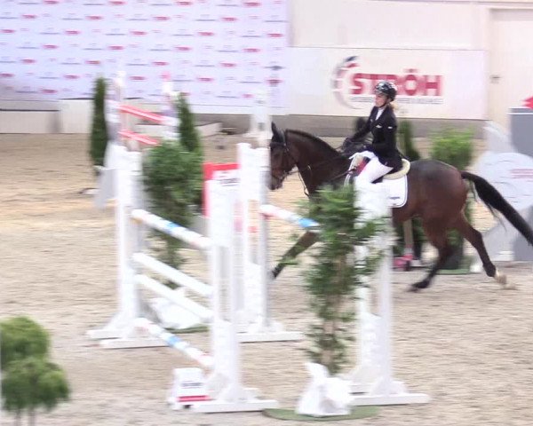Reitturnier Negernbötel 2020, 2. Nordic Jumping event 2020/2021