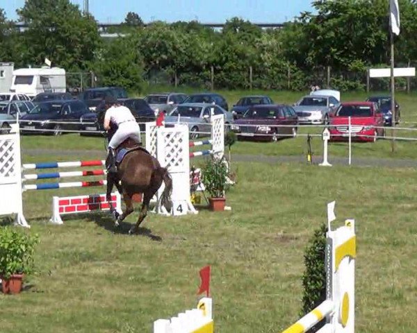 Springpferd Alesca 7 (KWPN (Niederländisches Warmblut), 2005, von Nassau)