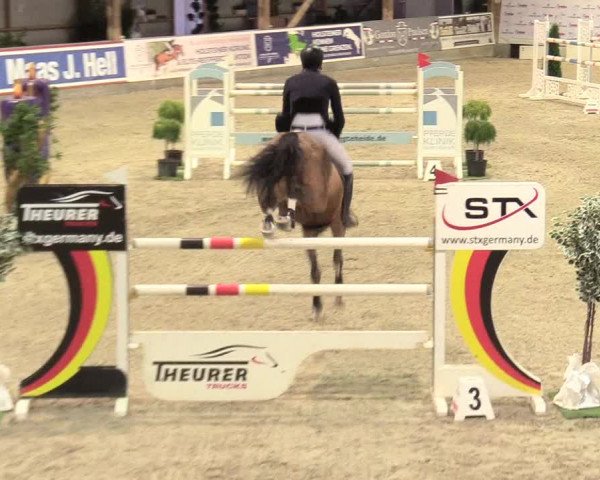 Reitturnier Negernbötel 2020, 2. Nordic Jumping event 2020/2021