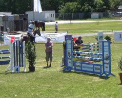 jumper Zylanbator (Holsteiner, 2007, from Colman)