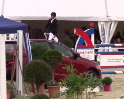 Springpferd Condoctro (Holsteiner, 2007, von Indoctro)