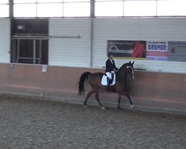 Reitturnier Leichlingen 2020