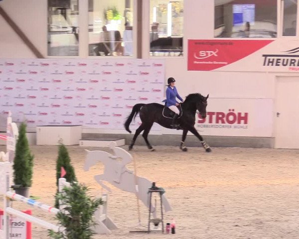 Reitturnier Negernbötel 2020, 2. Nordic Jumping event 2020/2021