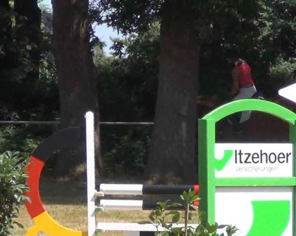 Springpferd Carneval 32 (Holsteiner, 2008, von Cardino)