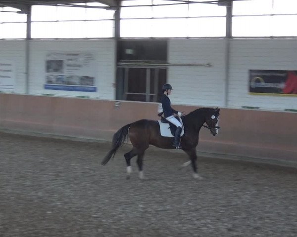 Reitturnier Leichlingen 2020