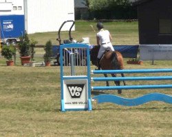 jumper Capacity Anibelle (Danish Warmblood, 2008)