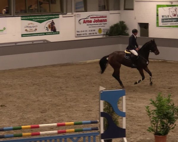 Reitturnier Luhmühlen 2020